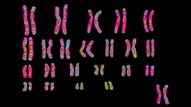 Advanced Analytical - A part of Agilent tweet media