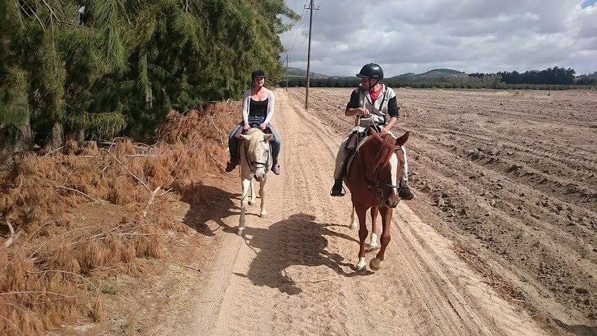 CompanionsMy's tweet photo. Santiago and Diego were good lads they could sense our fear and looked after us.  Horses with beauty unsurpassed, strength immeasurable and grace unlike any other, still remains humble enough to carry a man upon his back.   
#equestrian  #equine #horselove #riding  #horseriding https://t.co/3bSeazc80q