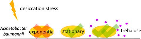 ebook visualization in science