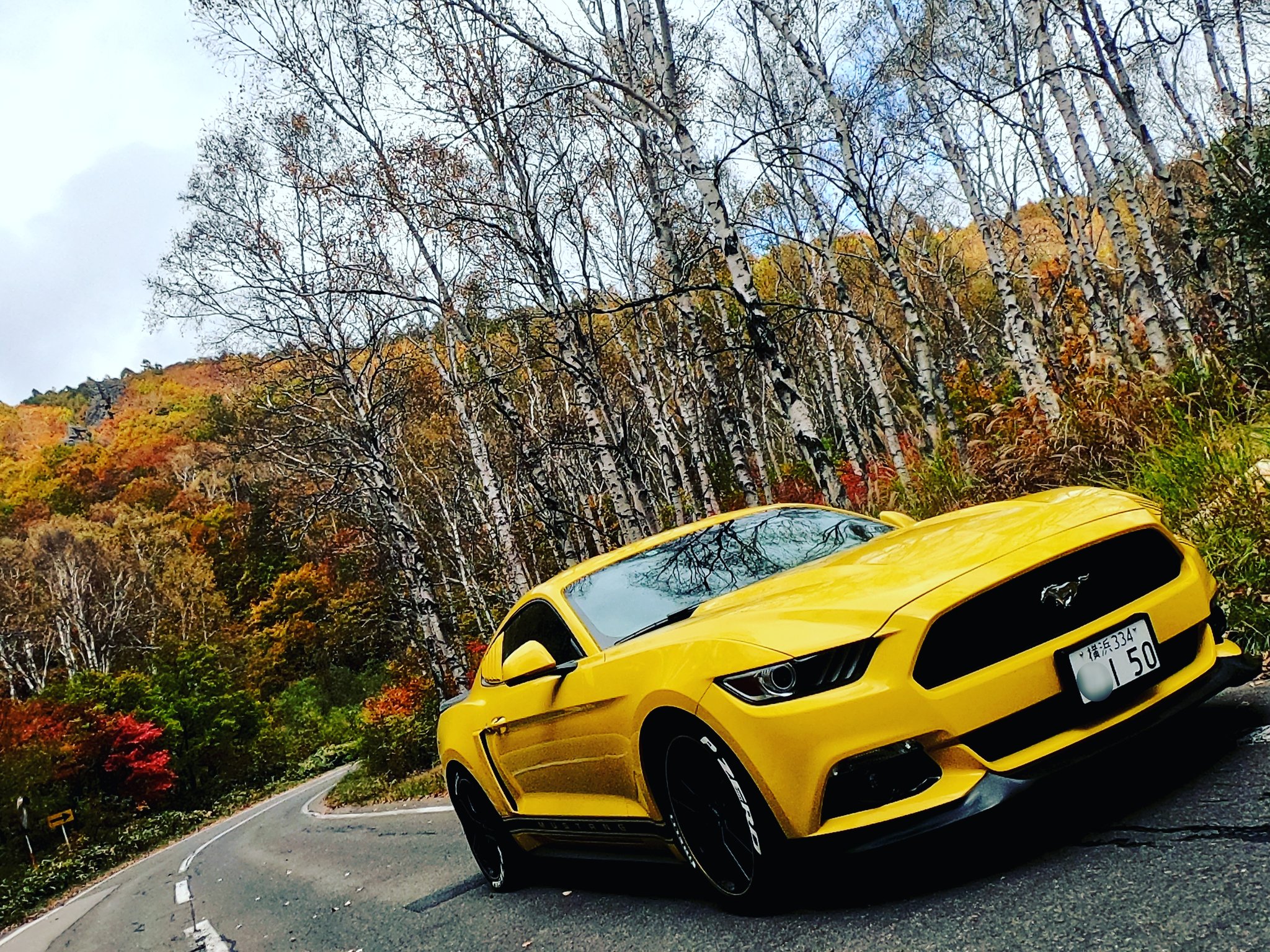 Ito Mustang In Autumn フォード マスタング フォードマスタング アメ車 Mustangfanclub Fordmustang Ford Mustang S550mustang Ecoboost Fordperformance Mustanglovers Tripleyellow Fordlover Goprohero7 Gopro Goproのある生活