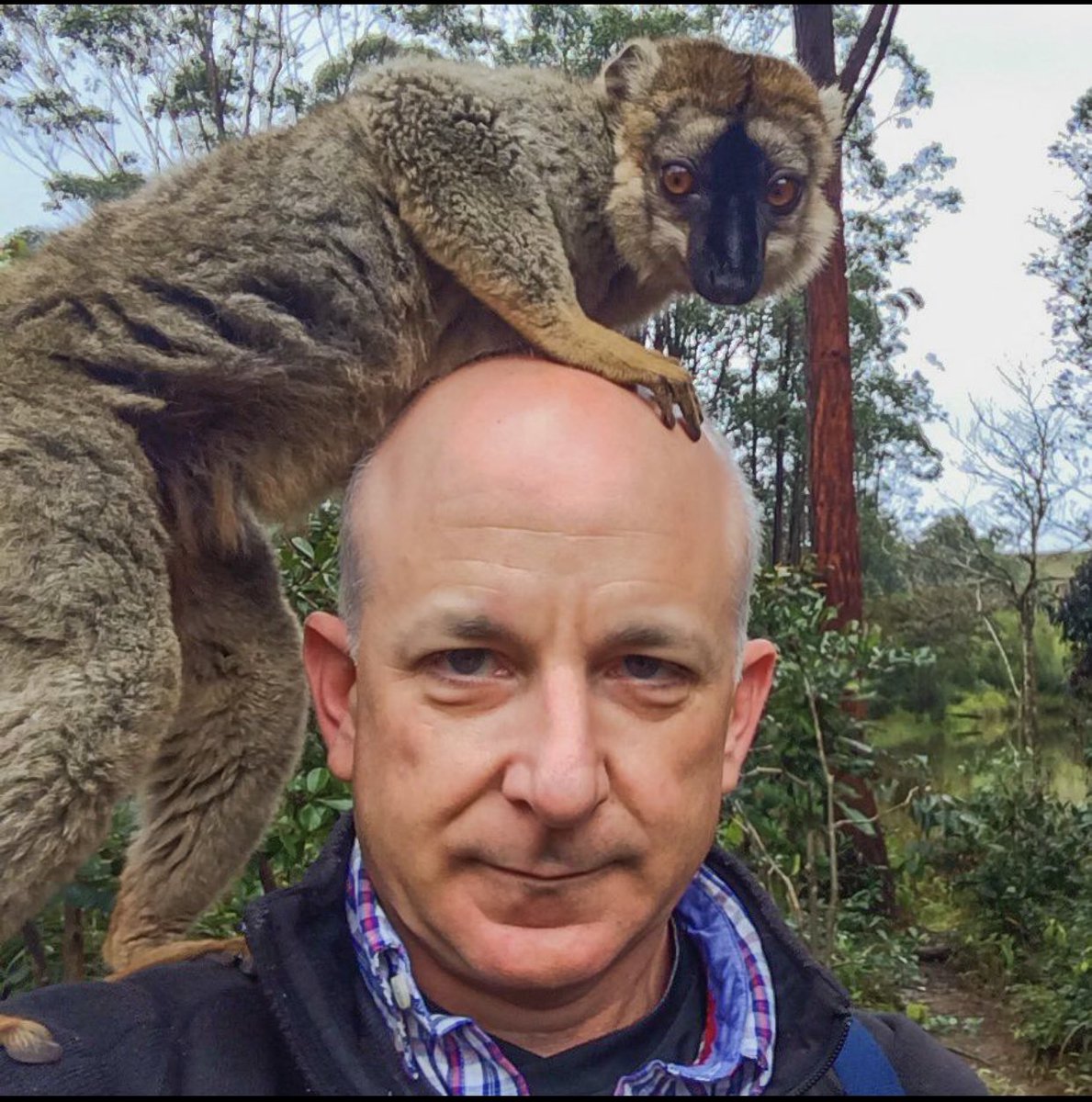 Elon Musk on Twitter "Tomorrow brings a lemur…