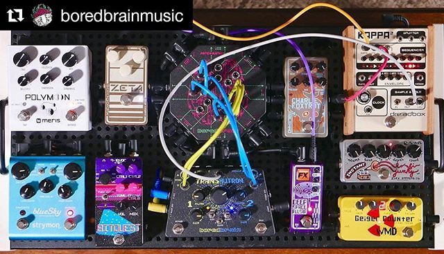 TheRealDrSci's tweet photo. #Repost @boredbrainmusic (@get_repost)
・・・
our latest creation.. the super cross-modulating patching pedalboard! ⚡️🧠
.
.
.
.
.
#boredbrainmusic #transmutron #patchulator8000 #dreadbox #strymon #meris #drscientist #raingerfx #zvex #wmd #malekko #modulation #experimentalmu… https://t.co/BssRMbDJc7