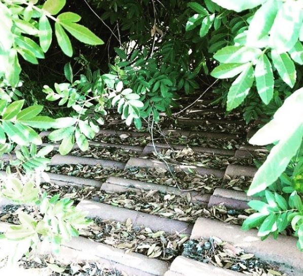 WeathertightRoo's tweet image. The nemesis of your roof - clean off your roof, or we can do it for you. 
951-929-0557

#cleanroof #roofmaintenance #roofproblems #roofissues