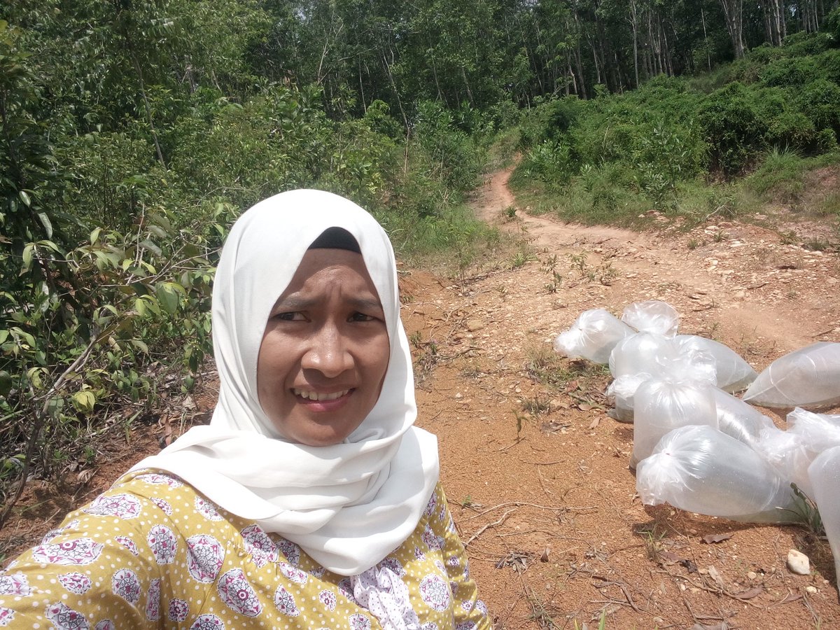 nurulfatayah tweet media