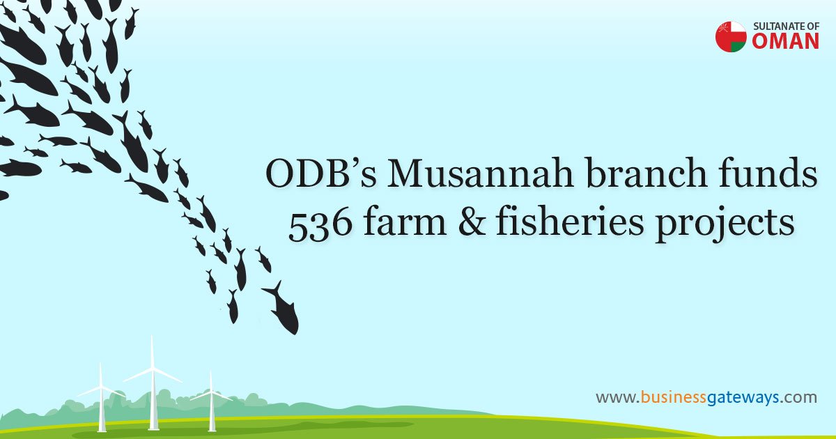 BGIinsights's tweet image. Mubarak Khalifah Al Mairki, director of the #Musannah branch of ODB, announced that the this branch of the #bank has financed a whopping 536 projects of #agriculture and #fisheries . @OmanDevelopment @agrifishoman