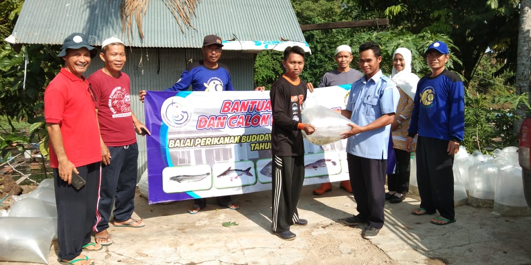 nurulfatayah tweet media