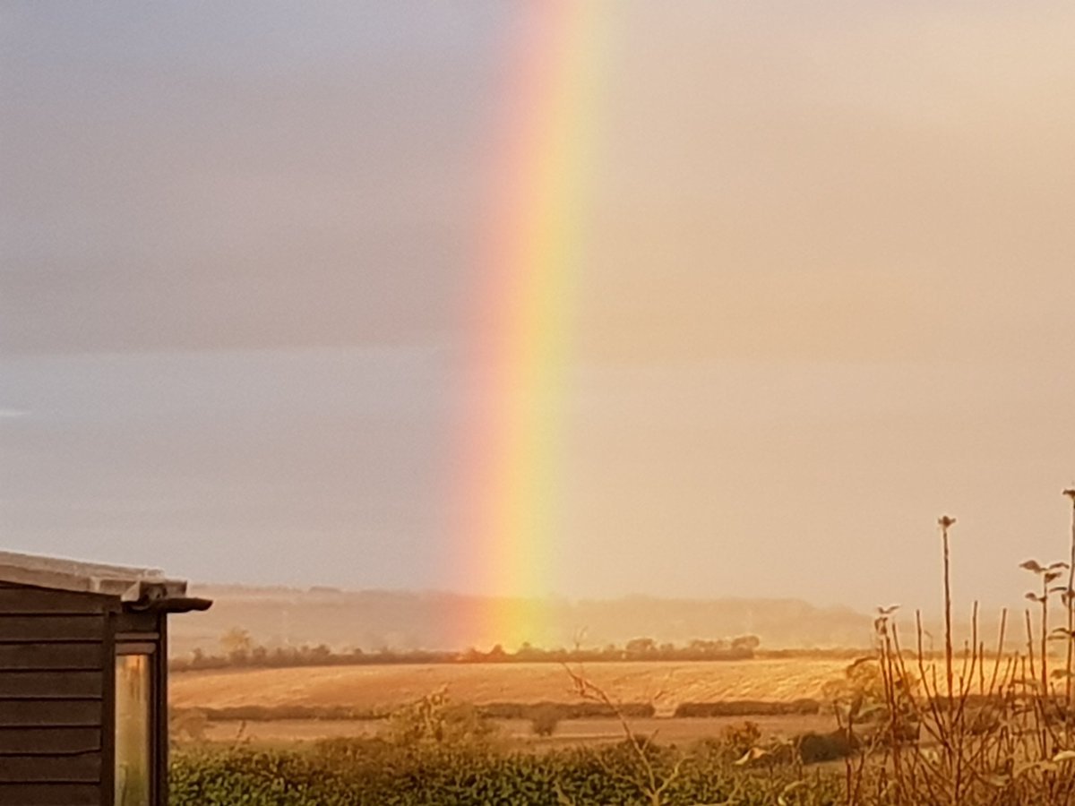 1st time I've ever seen the end of a #rainbow

#amazing #beautiful #nature #atmyhouse