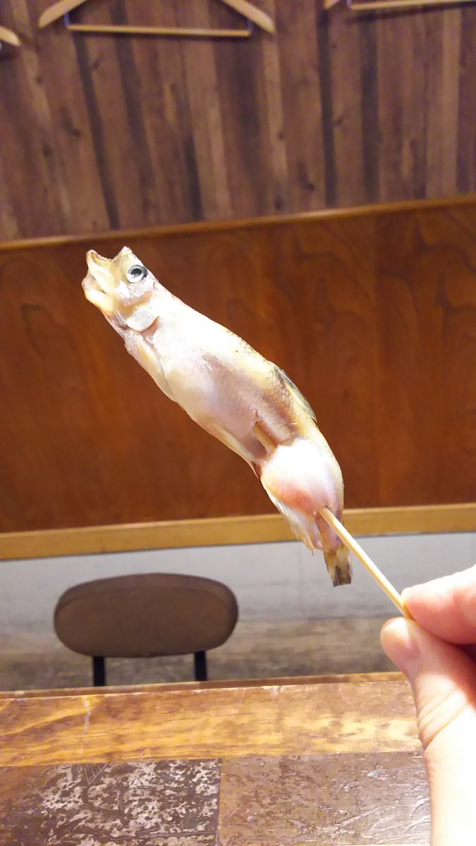 今日のオススメ
北海道産、本ししゃも
川魚のように太く肉厚な１本

250えんです

#浅草
#串かつりょう
#花やしき通り