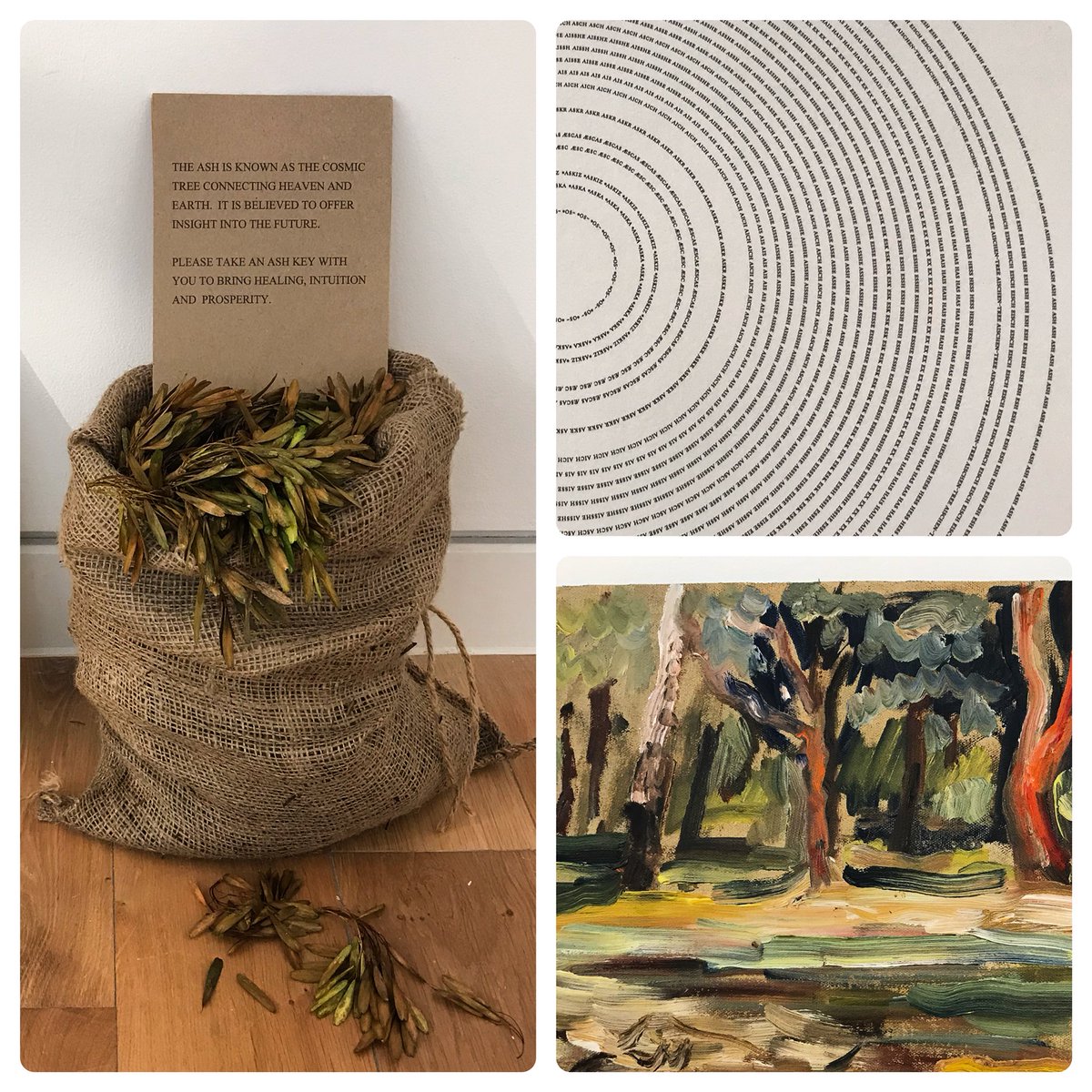 KaleidoscopeGa's tweet photo. The Ash Project #asharchive.  Open today - 8pm. Last few days closes Saturday 20th October. Contemporary Responses to #ashdieback @the_ash_project final exhibition. https://t.co/VBCTTKQ4pJ
 #sevenoaks #art #drawings #painting #sculpture #objects #photography #books #ashtrees https://t.co/dGk0M275bn