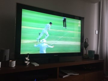 View image on Twitter