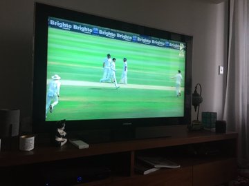 View image on Twitter