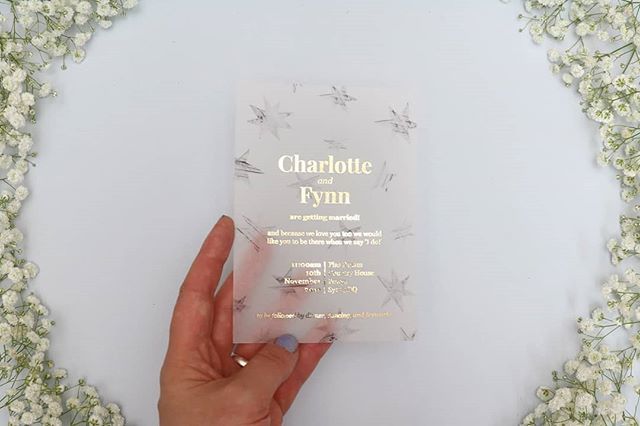 firandgold's tweet photo. โญ Beautiful grey textured stars and pale gold foil on semi-opaque vellum โญ
.
.
.
.
.
#vellum #vellumpaper #goldfoil #goldfoilweddinginvitations #foilinvitations #goldinvitations #foiledinvitations #weddingbling #weddingluxe #weddingstars #bohoweddingโฆ https://t.co/l5dmIUwJeI https://t.co/nkrQlNnbBK