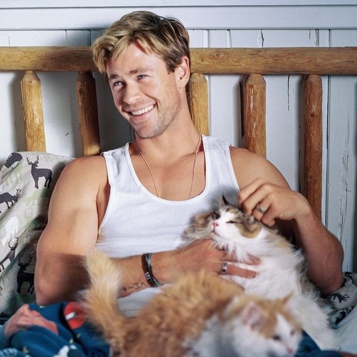 animalsceneMB's tweet photo. Just brightening your day with a couple of PAWsome and FURriffic animals with their celebrity PURrents. Hihi ๐ถ๐บ #AnimalSceneMB #AnimalScene #Animals #Celebrities #Hollywood #Dogs #DogsofInstagram #CatsofInstagram #Cats #ColeSprouse #ChrisHemsworth #ZacEfron #LeonardoDiCaprio https://t.co/ctXlQVU7tD