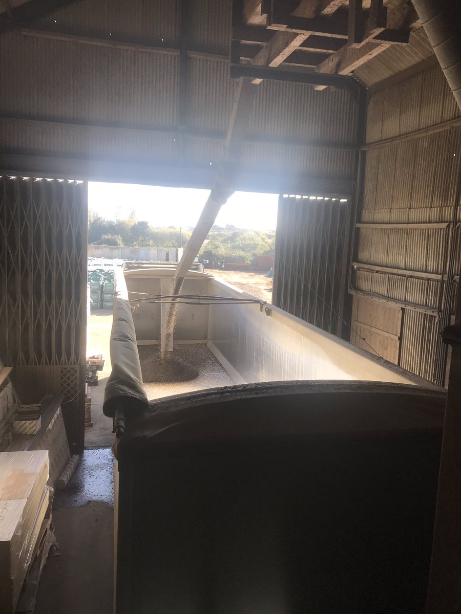 FarmFrinton's tweet image. Loading out some vetch seed.