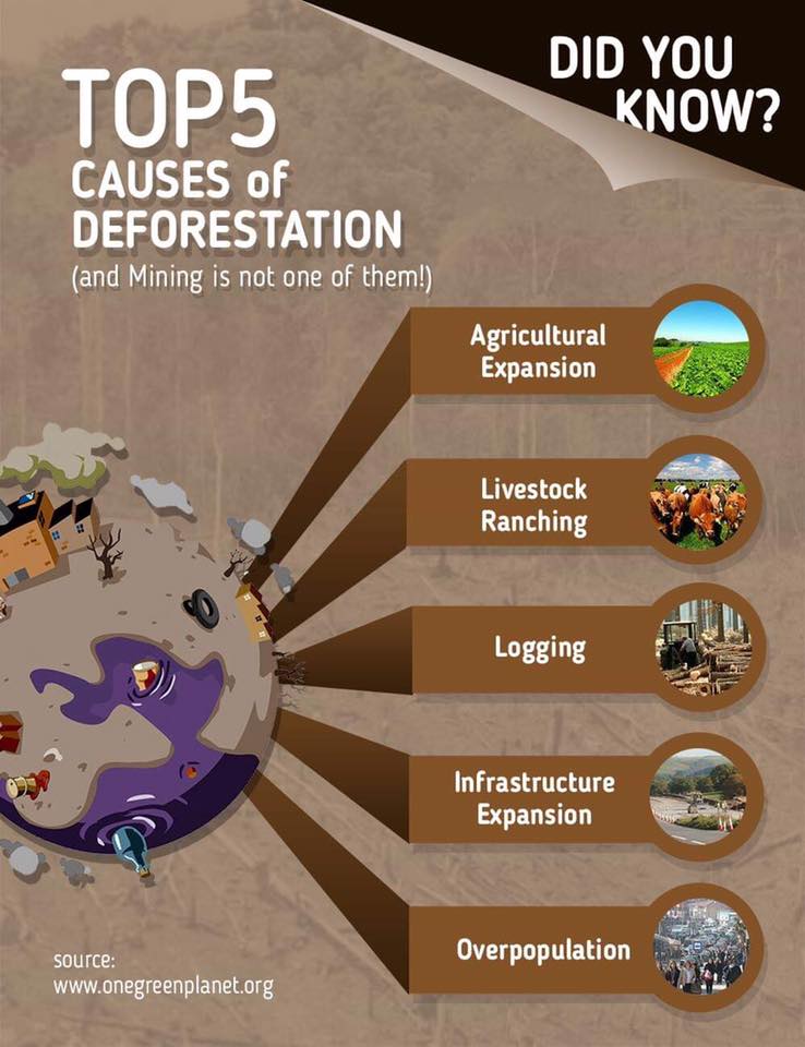orangeanteater1's tweet photo. Top 5 causes of deforestation as per https://t.co/BI4R4f3iqS . And guess what? Mining isn't one of them. #WhyMining #ResponsbleMining https://t.co/eo6KBuiiFg