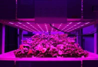 sclpcb's tweet image. Seen this week - Changing the ways we might grow food - Across the UK, hydroponic systems, along with the latest LED lighting technology, are beginning to be combined to produce certain crops in ‘urban farms’. bit.ly/2pRzFrn #LEDfarming #Horticultural #LED #Food
