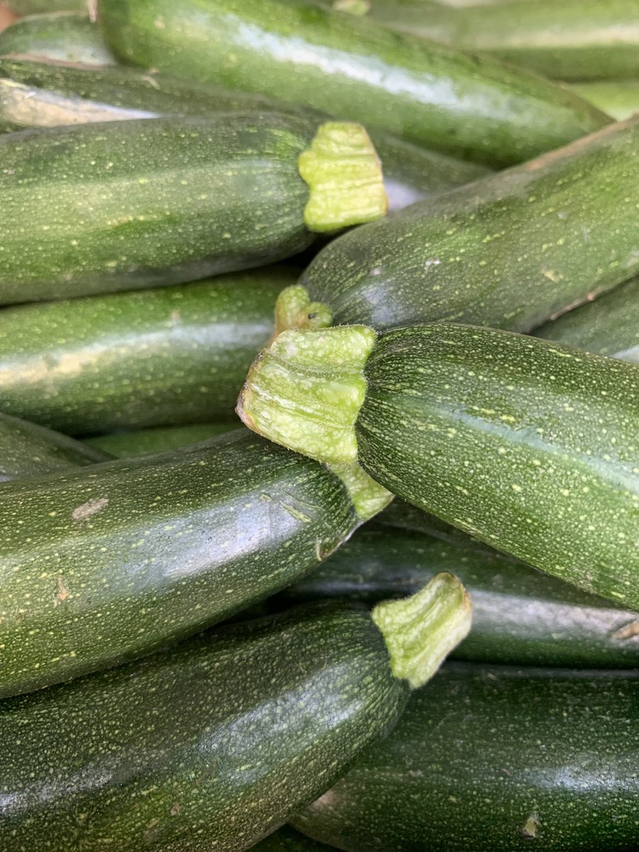 Zucchini $2 kilo #special #cbr #chokubaijo