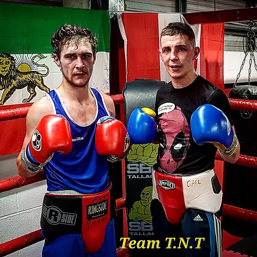 TeamTNT4's tweet photo. Great sparring last night by @CarlTheCorba and Evan Metcalfe🥊
#CarlTheCobraMcConald #IrishTitle #AndTheNew #BoxingIrelandPromotions #SBGtallaght #HBA #TeamTNT #GatorDontPlayNoShit https://t.co/XX5SjoMQtr