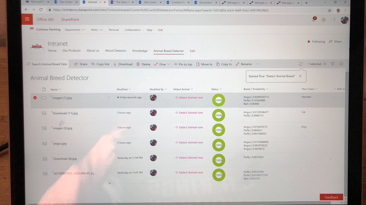 marcelhaasIO's tweet image. Come and see the chicken breed detector alive at #AIBootcamp vienna @JussiMori #CustomVision #AI