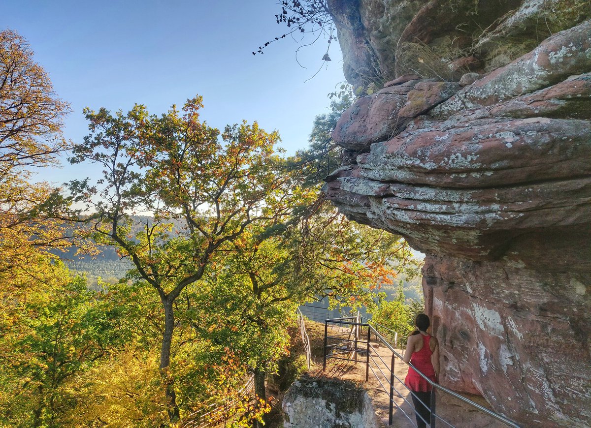 zegreengeekette's tweet photo. Partir en randonnée et découvrir au détour d'un chemin les ruines d'un château oublié... Le Waldeck est un de ces lieux magiques où l'on peut se perdre au soleil couchant, enfin métaphoriquement parlant ! #MyGreenPaysDeBitche #EnjoyPaysDeBitche #TGGAcroYoga https://t.co/EAlkIaiTfM