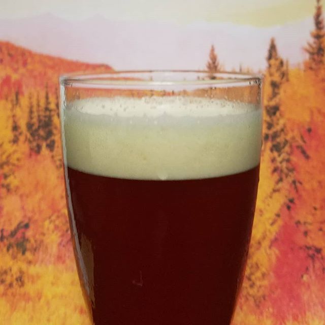 Tapping this Thursday 10.18.18 Fall Guy
German Lager- focus on Malta, biscuity, Brady body and a clean finish.
6 ABV/ 30 IBUs