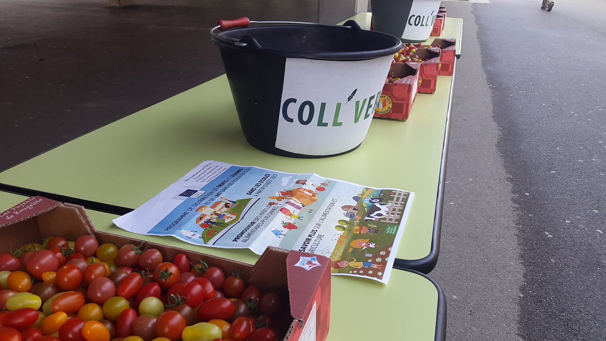 Mise en place de poubelles antigaspi pour les collégiens lors des distributions !  Pour les tomates on jette le pecou à la poubelle il servira de composte ! #balancetonpecou