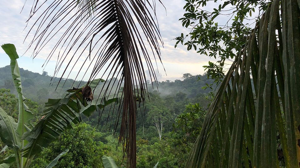 Geronimo tweet media