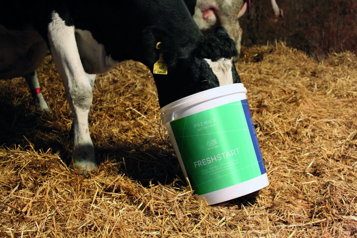 Get your fresh calved cows off to the best start with Premier Nutrition Fresh Start. This unique product is formulated to help minimise health complications post calving and achieve #bettertransition