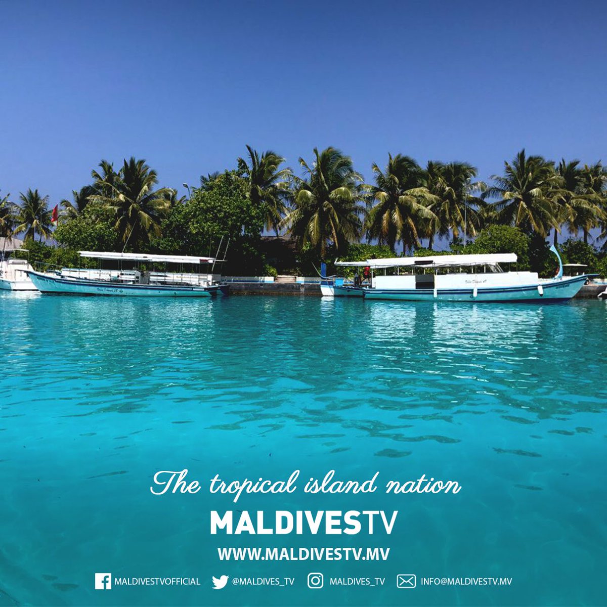 MaldivesTV tweet media