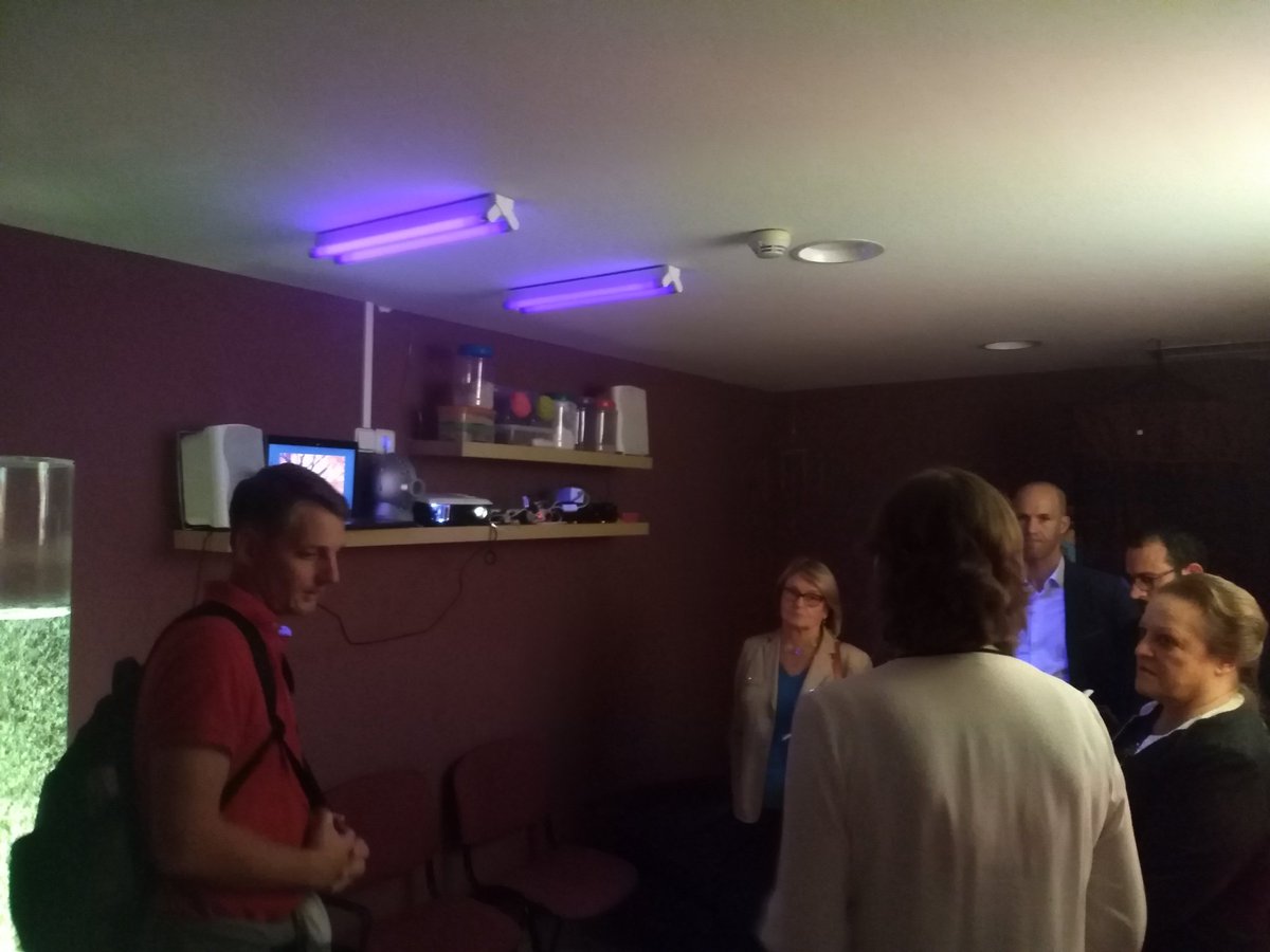 SilverValley_'s tweet photo. Une salle dédiée au travail sensoriel avec des séances de 30mns par patient et particulièrement pour les personnes atteintes d'Alzheimer. #SilverValleyWeek https://t.co/tKG3jzUdI2