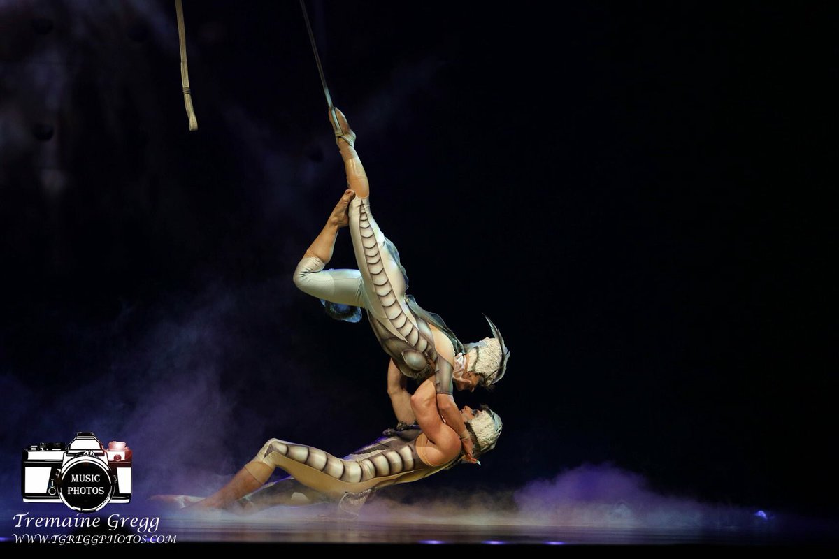Belfasttimes's tweet photo. What’s on in #Belfast >> #theBFS
OVO by @Cirque at @SSEBelfastArena
More photos on @ontourNI facebook page! Make sure you check them out! ➡️https://t.co/WG9qoM7ZiG
📸 @tgreggphotos
#ovocirque https://t.co/2DRMcXlFz2