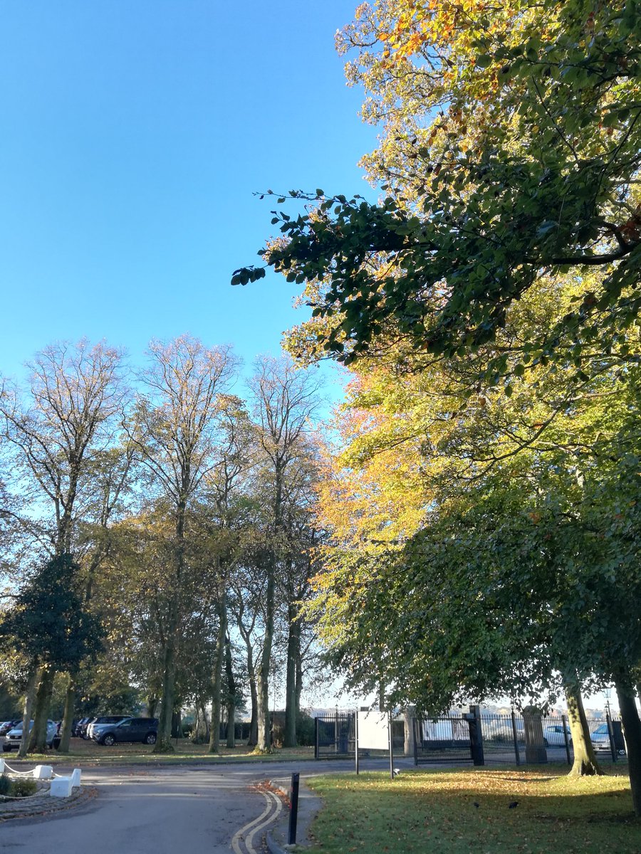 MadsMansfield's tweet photo. In sunny, leafy Wigan! Looking forward to a day of NHS Governor learning to support my role @TheChristieNHS #NWGF https://t.co/Mm4bv4MDmy