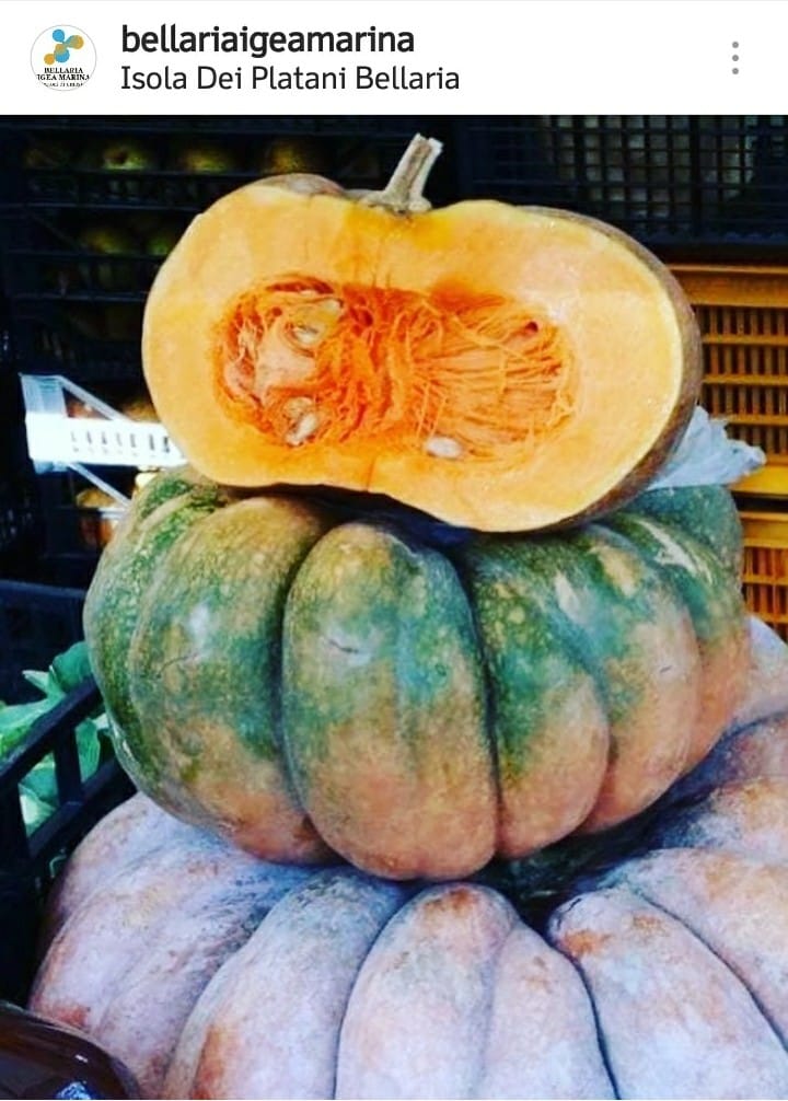 I colori dell'autunno in Romagna, tra i suoi sapori!