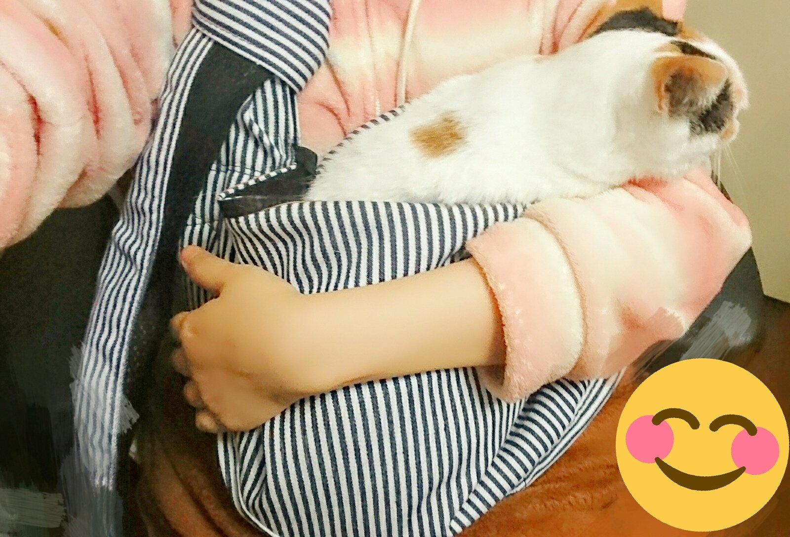 ネコ太郎 3 15ヤンチャン烈読み切り掲載 猫用抱っこひも買いました T Co Ibhyenkyzt Twitter