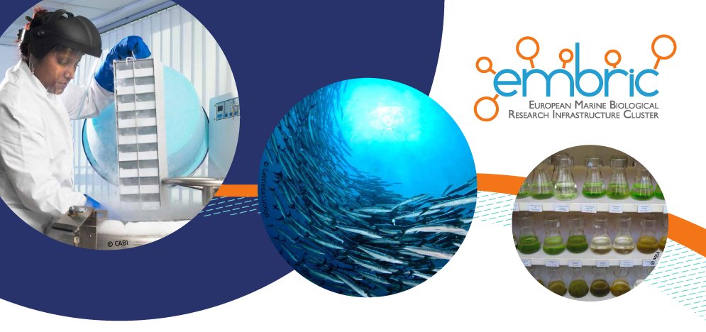 Upcoming Integrated Training Call: FUNDING CALL for training organisers in marine #biotechnology & #aquaculture innovation - embric.eu/node/1751 #funding #Science #training #application @EMBRC_EU @MIRRI_live @EuOpenscreen @CORBEL_eu @risis_eu @ELIXIREurope @AQUAEXCEL2020