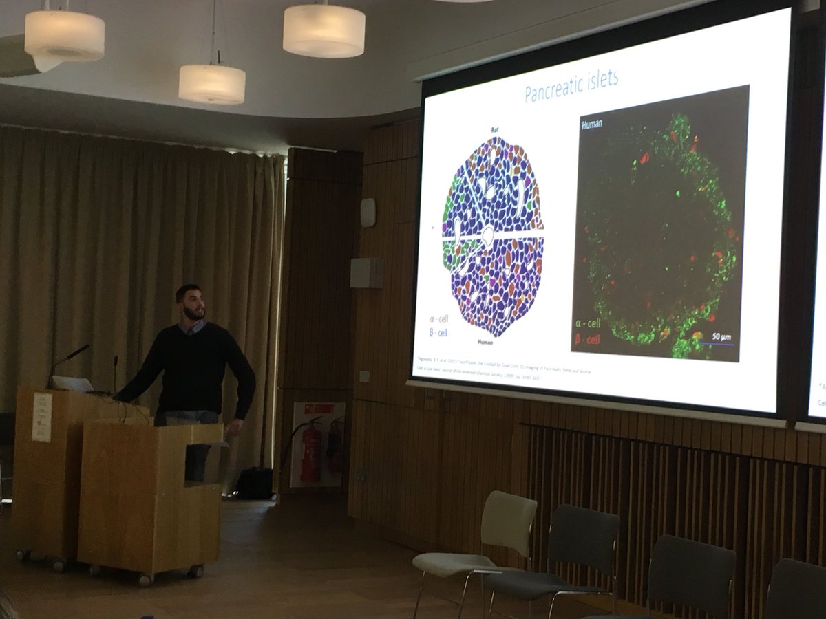 EdinUniImaging's tweet photo. Thanks to Adrian Garcia Burgos for his presentation on super resolution imaging in living pancreatic islets #phdexpo18 @ESRIC_Imaging https://t.co/8fCvFAr4RK