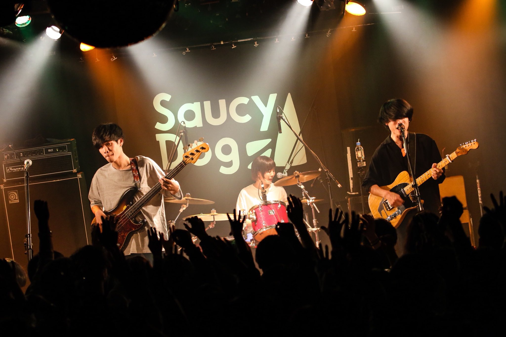 saucy dog on twitter thank you sold out saucy dog on twitter thank you sold out