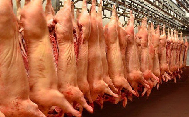 SOLO AL MAYOR CARNE DE RES Y CERDO
