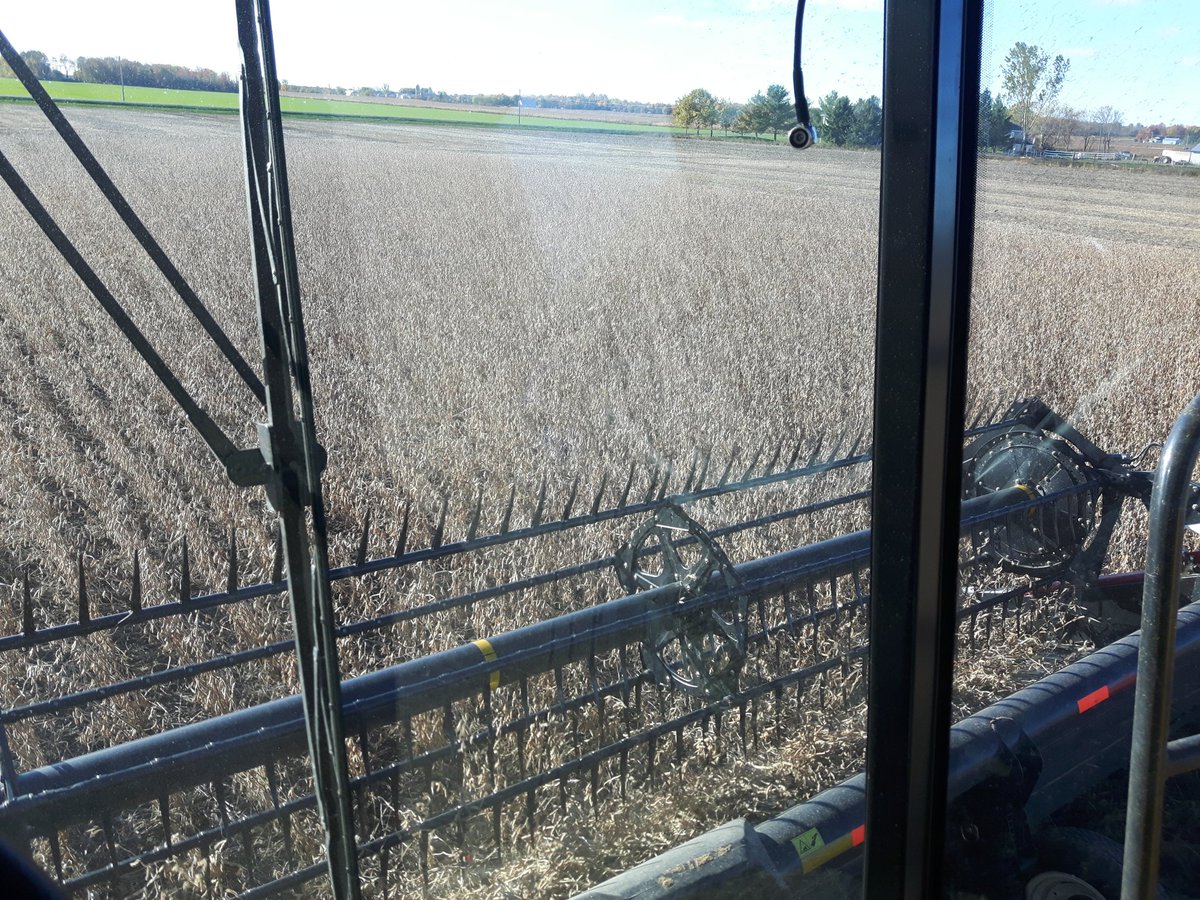 LafranceAg's tweet photo. Very happy with our Skyline Soybeans this morning!!! #Harvest18 #OntAg https://t.co/X3nY9At6B0