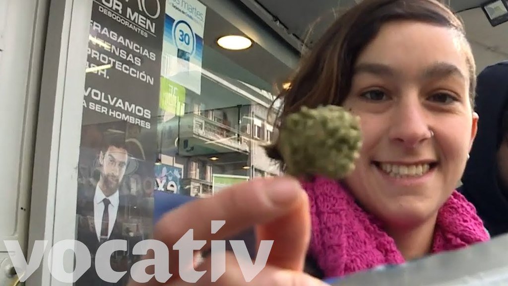 rtreesofficial's tweet photo. Weed legalization in Uruguay SRC: /r/see https://t.co/kg3fr5MoHj #trees #cannabis #weed #reddit https://t.co/EEOectviuV