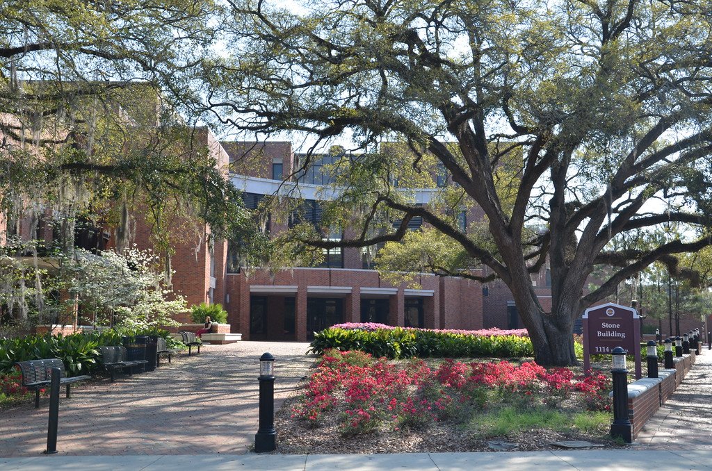 fsuannescollege's tweet photo. 🚨ATTENTION🚨: We have a new date for #COEPreview2018! The rescheduled event will take place on December 1 from 10:30 AM - 1:00 PM. If you're interested in grad school at the #FSUCOE, this is the event for YOU! Learn more: https://t.co/Ni0wJN1aGM https://t.co/HDeyFjmIUt