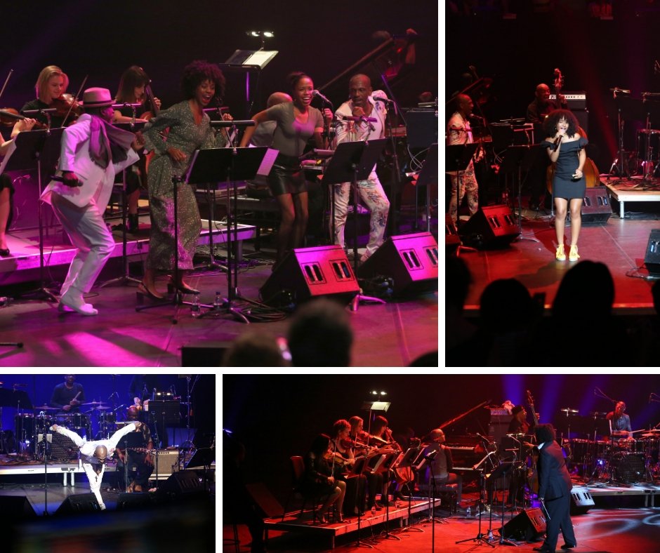 TWLiveEvents's tweet image. #IAmWarrior, how to be more Warrior - mailchi.mp/tomorrowswarri…