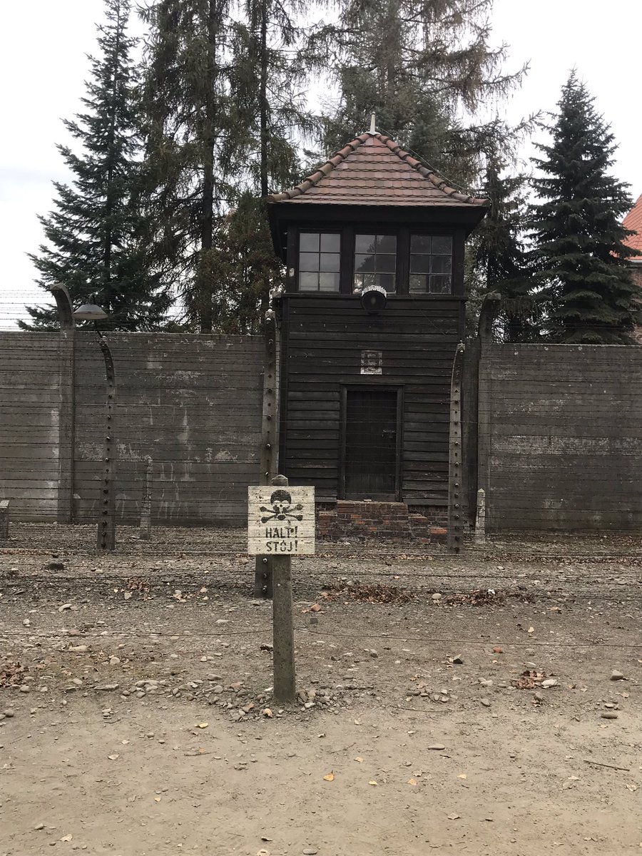 simonChef99's tweet image. A trip round Auschwitz-Birkenau is a really sobering experience