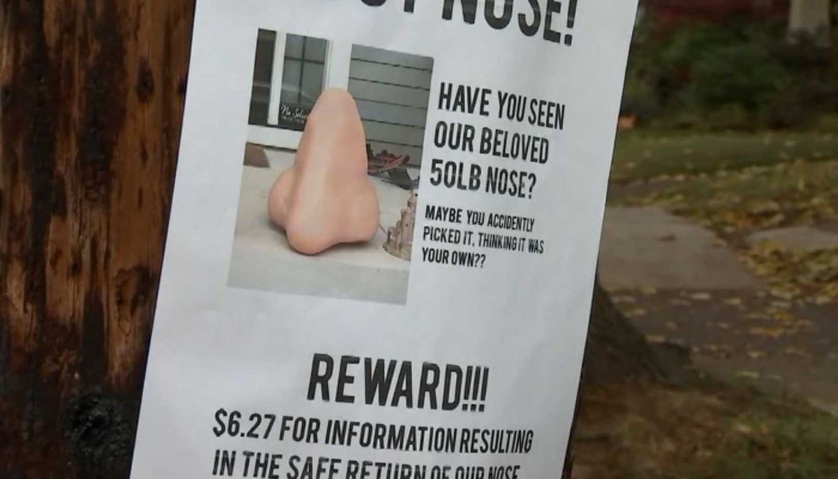 wis10's tweet image. 50-pound nose stolen off family’s porch; kids make plea for its return buff.ly/2RYZFh9