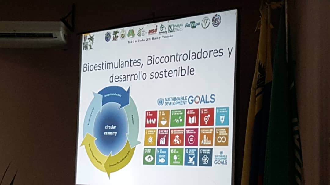 CKronosII's tweet photo. Tema 9.Día 2. #1erCongresoMusaven . Dr Domenico Pavone - Universidad de Carabobo @UCarabobo @carabobo_UC . Bioestimulantes y controladores biológicos. Nuevo portal en el sistema d defensa d las plantas. #Musaceas #Musaven #Venezuela #UC #FAgroUCV #Bioestimulantes #Biodiversidad https://t.co/b7uAwZUbvK