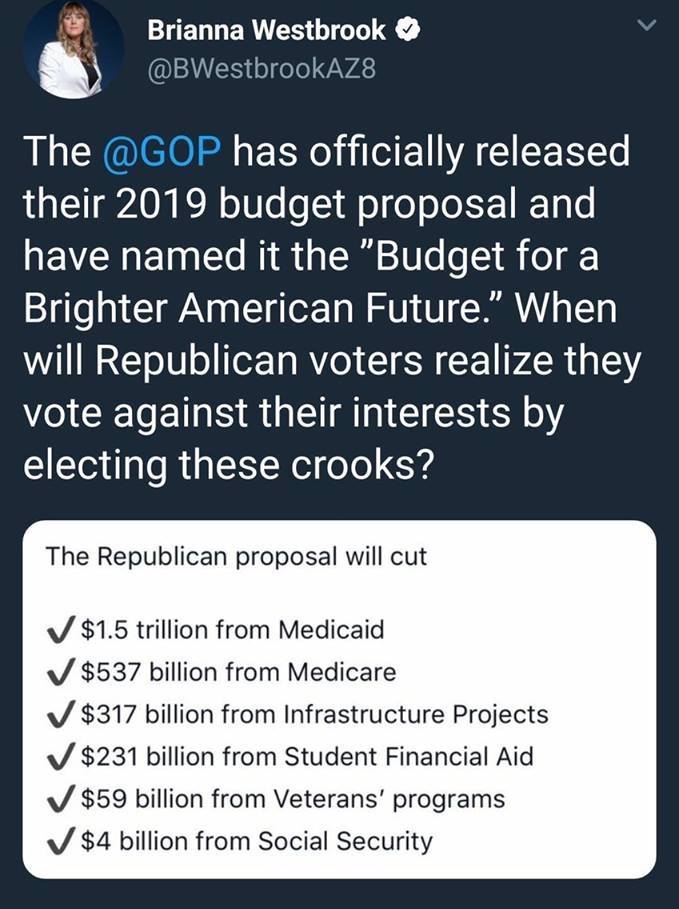 lil_nitelite's tweet photo. Dont be a damn sheep ๐๐๐This was the plan ALL ALONG #TaxCutScam #TaxBillScam #Medicare #SocialSecurity #GOPTheft @GOP @senatemajldr @SpeakerRyan https://t.co/AdRdwQcbpG