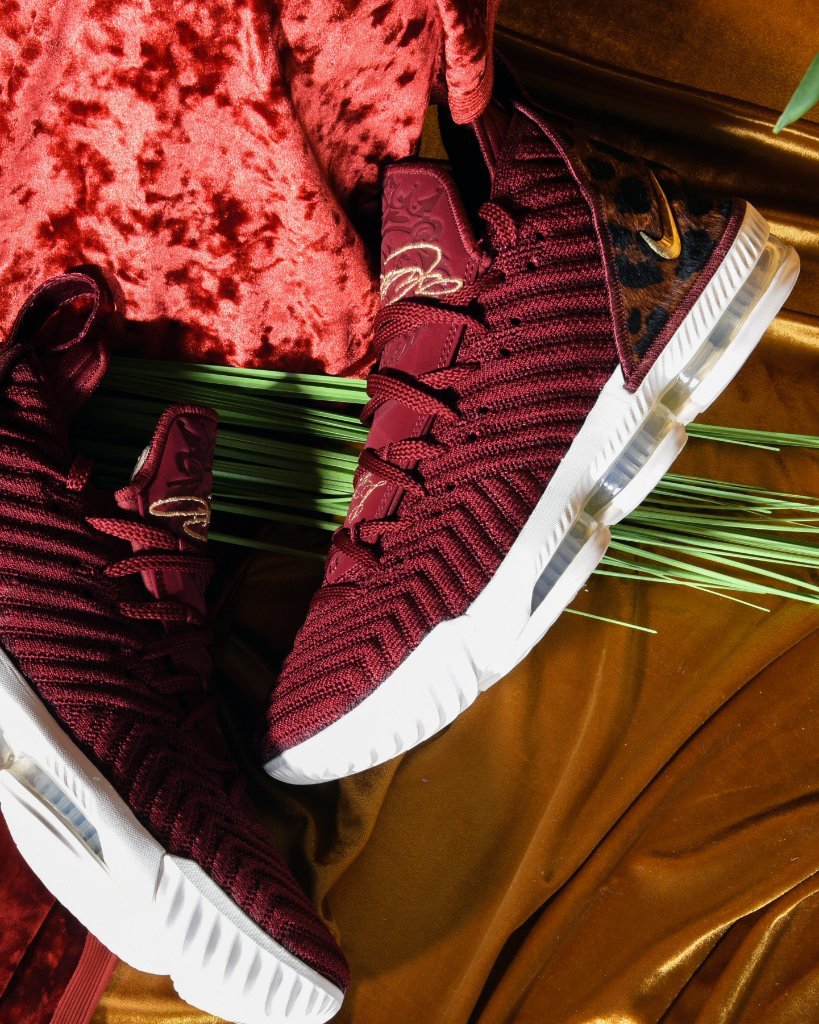 house of hoops lebron 16