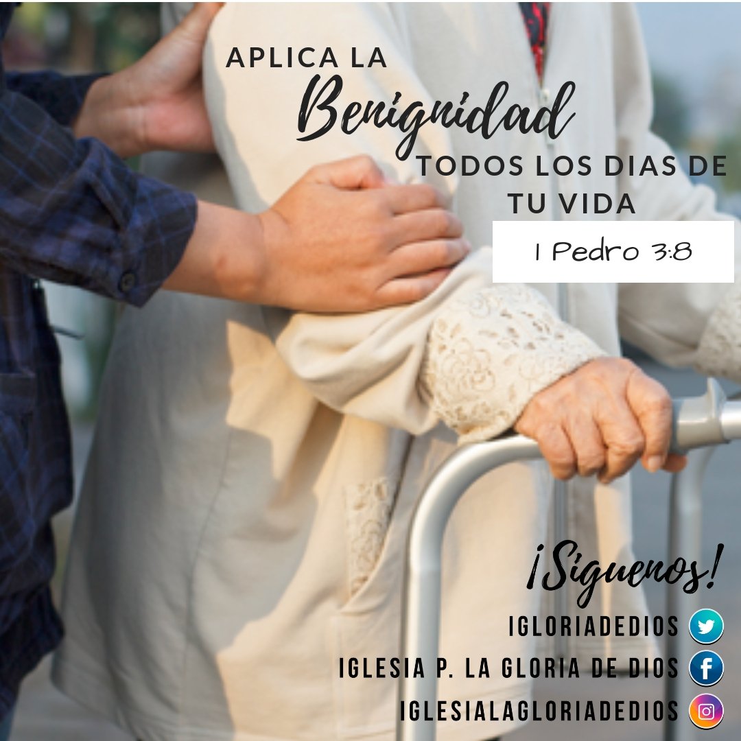 igloriadeDios's tweet photo. #Se#Benigno...Sed todos de un mismo sentir, compasivos, amándoos fraternalmente, misericordiosos, amigables
.
.
1 Pedro 3:8 https://t.co/nhxHL7kk3z