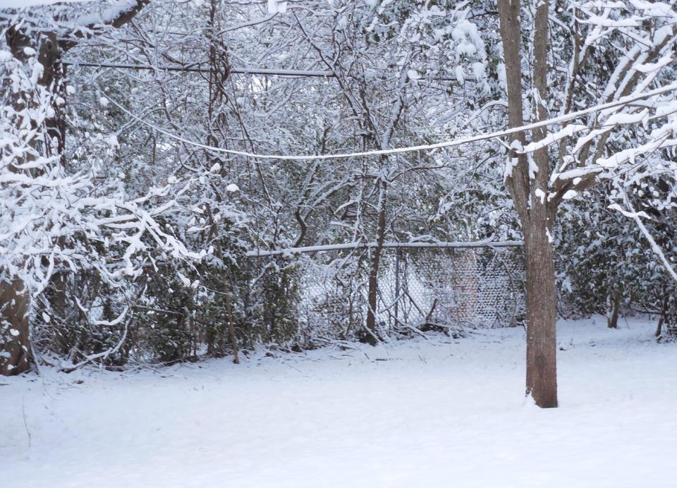 𝓖𝓞𝓞𝓓 𝓜𝓞𝓡𝓝𝓘𝓝𝓖 𝓕𝓡𝓞𝓜 𝓜𝓤𝓢𝓚𝓘𝓔𝓗𝓤𝓑 

Snow, snow, snow. How much is too much?

Muskiehub.com