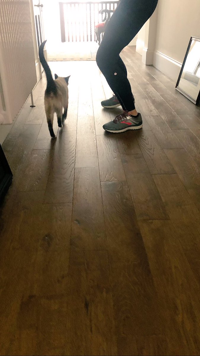 myleftfang's tweet photo. I’VE TIED MY MUM’S KNEES TOGETHER & I’M MAKING HER SHUFFLE UP & DOWN THE HALL!! #PersonalTrainerCat #MoneyForOldRope
#UniformPlease https://t.co/vujZBTPUem